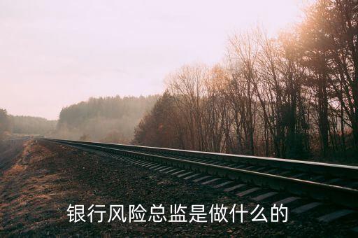 銀行總監(jiān)是做什么的，誰知道銀行的人力資源總監(jiān)主要做什么工作因為我急著要拍一個關(guān)于