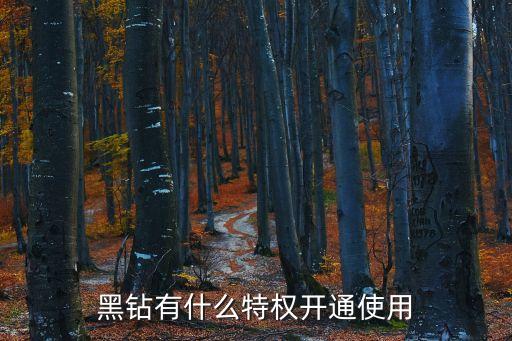 農(nóng)行黑鉆卡有什么服務，黑鉆都有那些特權(quán)