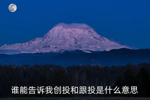 誰能告訴我創(chuàng)投和跟投是什么意思