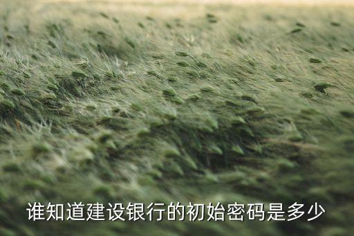 建設(shè)銀行卡默認(rèn)密碼是什么，誰(shuí)知道建設(shè)銀行的初始密碼是多少