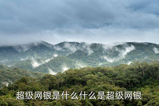 超級網銀系統(tǒng)指的是什么情況，超級網銀是什么什么是超級網銀
