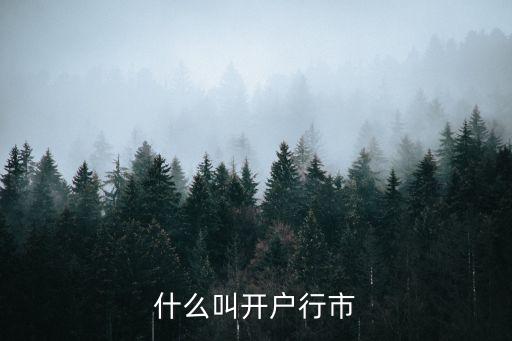 開戶行城市是什么，收款人開戶城市