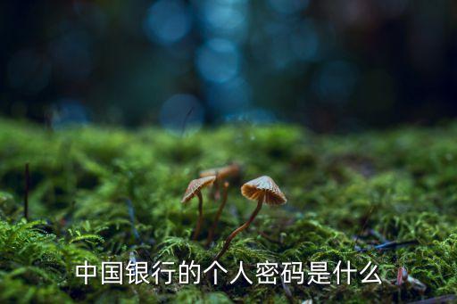 中國(guó)銀行個(gè)人服務(wù)密碼是什么，中國(guó)銀行的個(gè)人密碼是什么