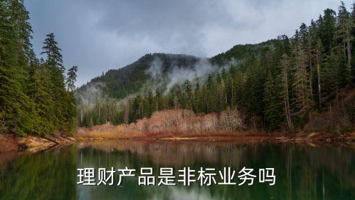 非標(biāo)理財(cái)是什么，京東非標(biāo)理財(cái)是什么意思有風(fēng)險(xiǎn)嗎請(qǐng)教