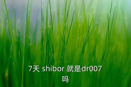 7天 shibor 就是dr007嗎