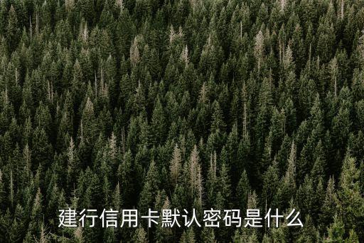建行卡初始密碼是什么，新生求助建設(shè)銀行卡的原始密碼