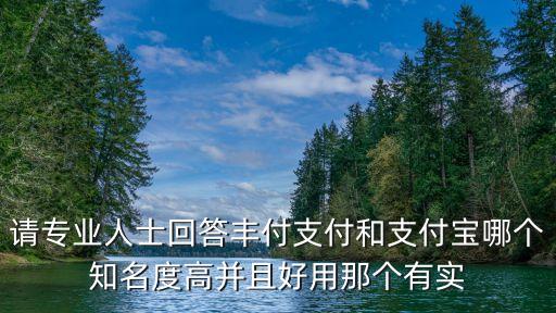 請專業(yè)人士回答豐付支付和支付寶哪個(gè)知名度高并且好用那個(gè)有實(shí)