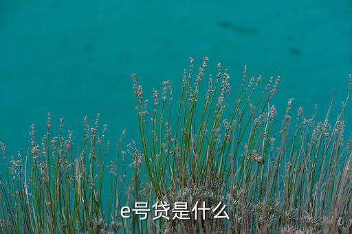 e號貸是什么
