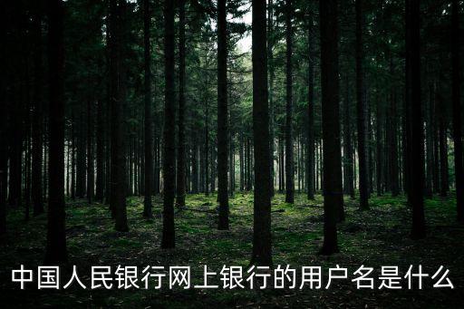 中國(guó)人民銀行網(wǎng)上銀行的用戶(hù)名是什么