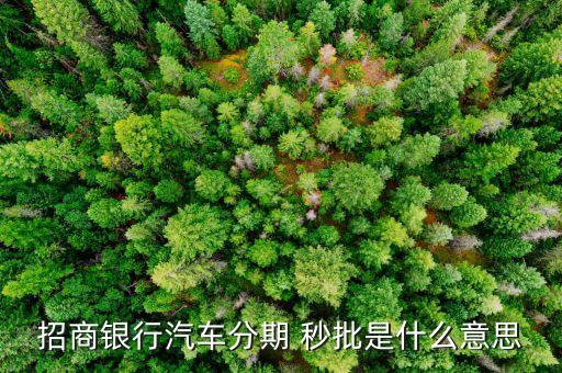 招行汽車(chē)分是什么，招商銀行信用卡汽車(chē)分期