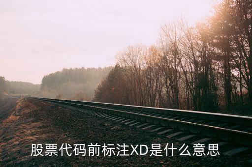 股票代碼前標注XD是什么意思