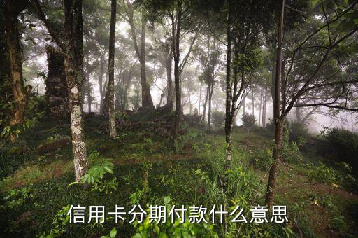 浦發(fā)消費(fèi)分期是什么意思，浦發(fā)信用卡12期24期都是什么意思