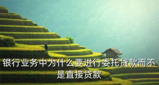 銀行業(yè)務(wù)中為什么要進(jìn)行委托貸款而不是直接貸款