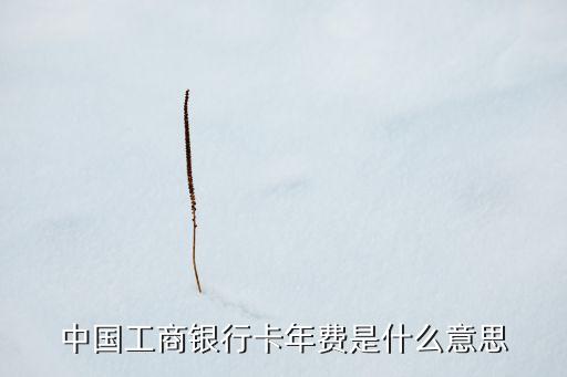 工行的卡年費是什么卡，工行的年費是什么意思
