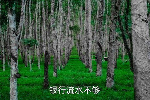 銀行流水不夠