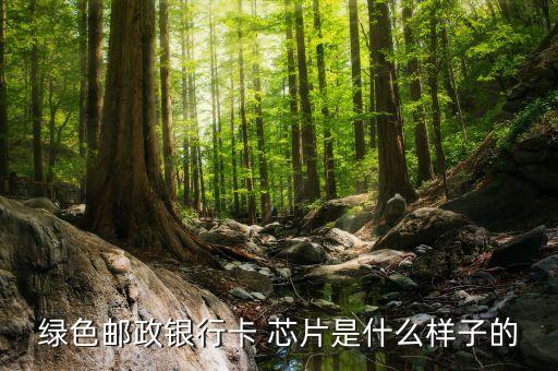 綠色郵政銀行卡 芯片是什么樣子的