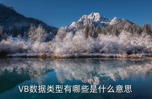 VB數(shù)據(jù)類型有哪些是什么意思
