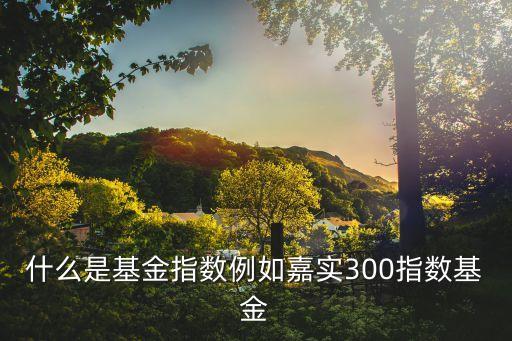 嘉實(shí)300是什么，嘉實(shí)300是什么類(lèi)型的基金