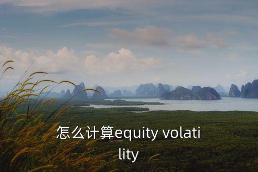 怎么計(jì)算equity volatility