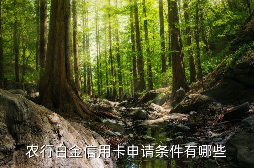 農(nóng)行白金信用卡申請(qǐng)條件有哪些