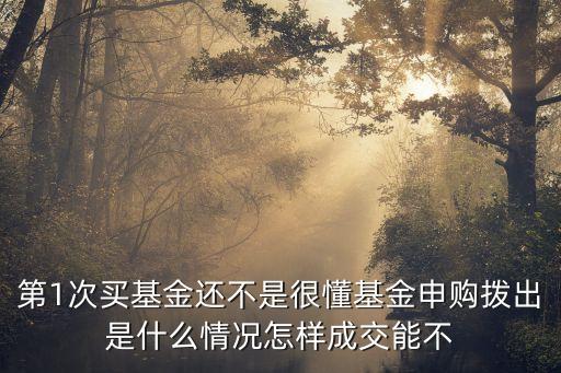 第1次買基金還不是很懂基金申購撥出是什么情況怎樣成交能不