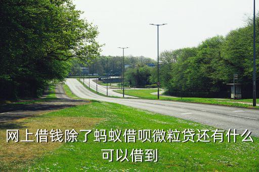 網(wǎng)上借錢除了螞蟻借唄微粒貸還有什么可以借到