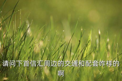 請問下首信匯周邊的交通和配套咋樣的啊