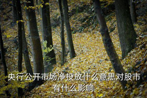 凈投放是什么意思，央行凈投放是甚么意思