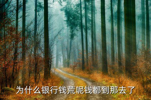 為什么銀行錢荒呢錢都到那去了