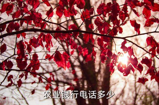 農(nóng)業(yè)銀行電話多少