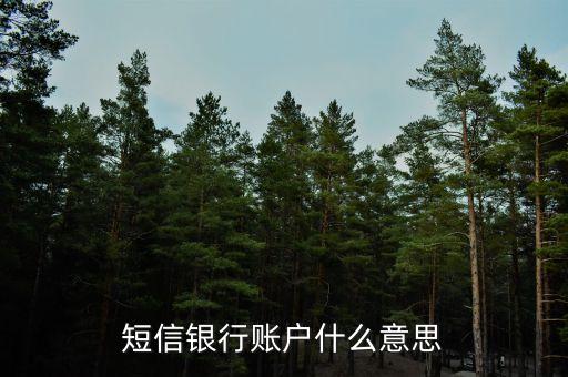 短信銀行賬戶(hù)什么意思