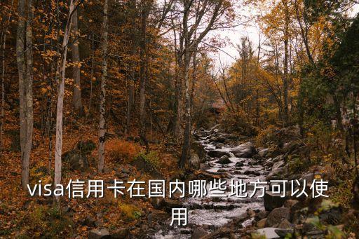 visa信用卡在國(guó)內(nèi)哪些地方可以使用