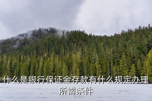 什么叫存入保證金，甚么是保證金存款