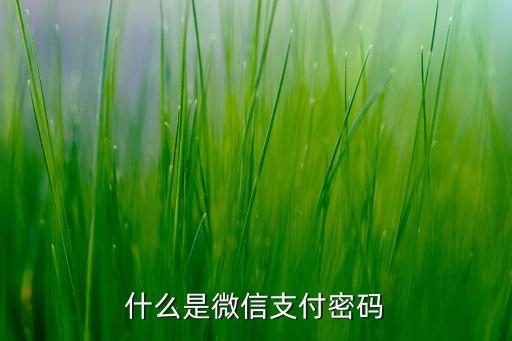 什么是微信支付密碼
