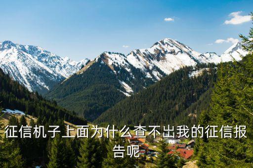 征信機(jī)子上面為什么查不岀我的征信報(bào)告呢