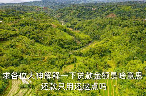 求各位大神解釋一下貸款金額是啥意思 還款只用還這點(diǎn)嗎