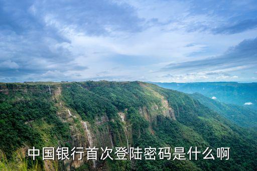中行登錄密碼是什么，中國(guó)銀行首次登陸密碼是什么啊