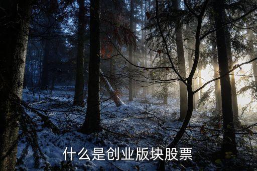 什么是創(chuàng)業(yè)板股票，股票里的創(chuàng)業(yè)板是什么意思