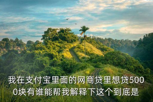 網(wǎng)商貸還款是什么意思，網(wǎng)商貸每個月通知還款幾塊錢什么意思都沒用過
