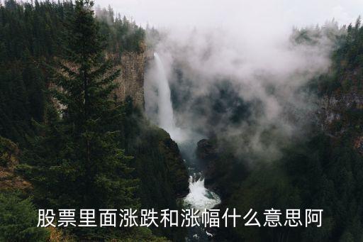 股票的漲跌是什么意思，股票里面漲跌和漲幅什么意思阿