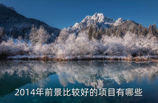 2014年前景比較好的項(xiàng)目有哪些