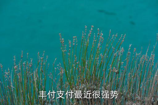 豐付支付最近很強(qiáng)勢