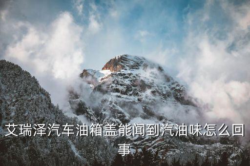 轎車營銷寶A N什么意思，艾瑞澤汽車油箱蓋能聞到汽油味怎么回事