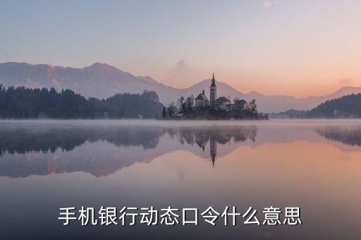手機銀行動態(tài)口令什么意思