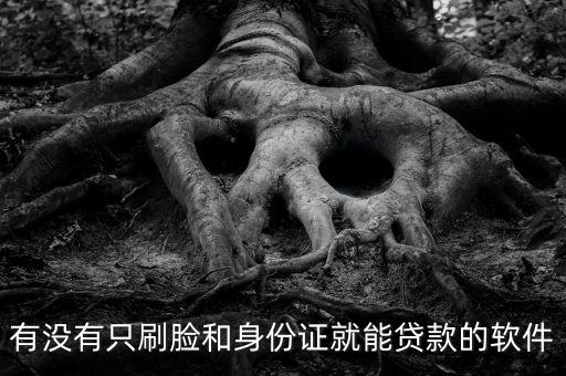 有沒有只刷臉和身份證就能貸款的軟件
