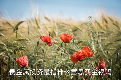 什么是銀行貴金屬投資，貴金屬投資是指什么意思買金銀嗎
