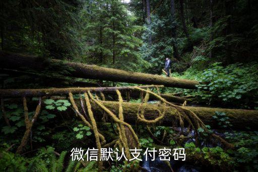 微信默認(rèn)支付密碼