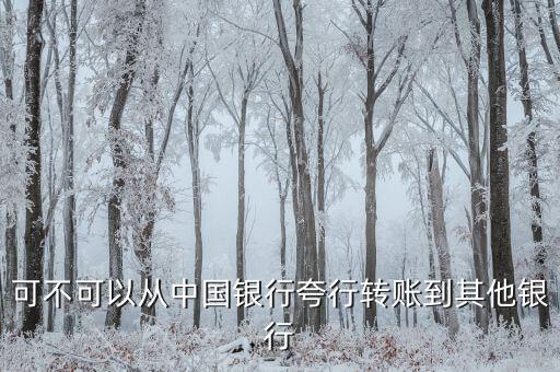 可不可以從中國銀行夸行轉(zhuǎn)賬到其他銀行