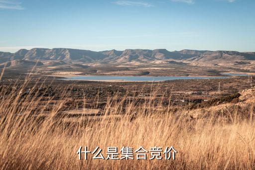 什么是集合競價
