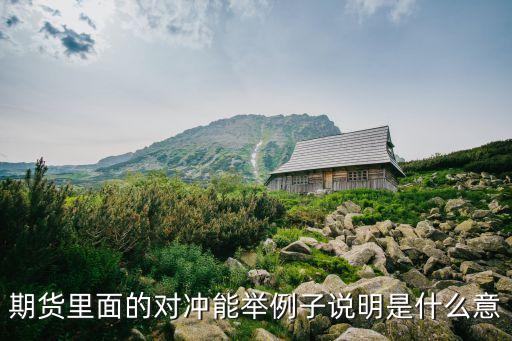 什么叫對(duì)沖 例子，什么叫對(duì)沖對(duì)價(jià)舉個(gè)例子
